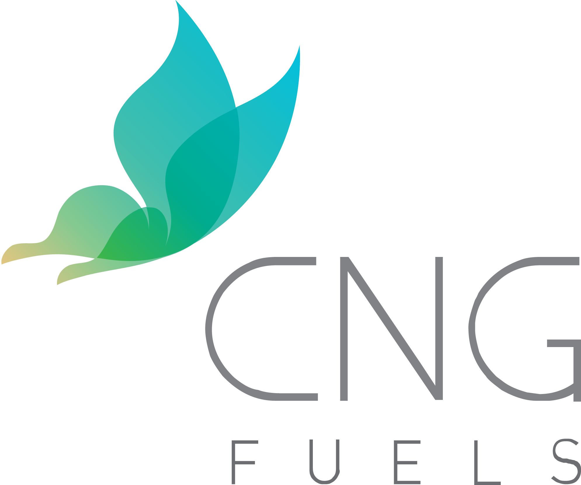 CNG Fuels